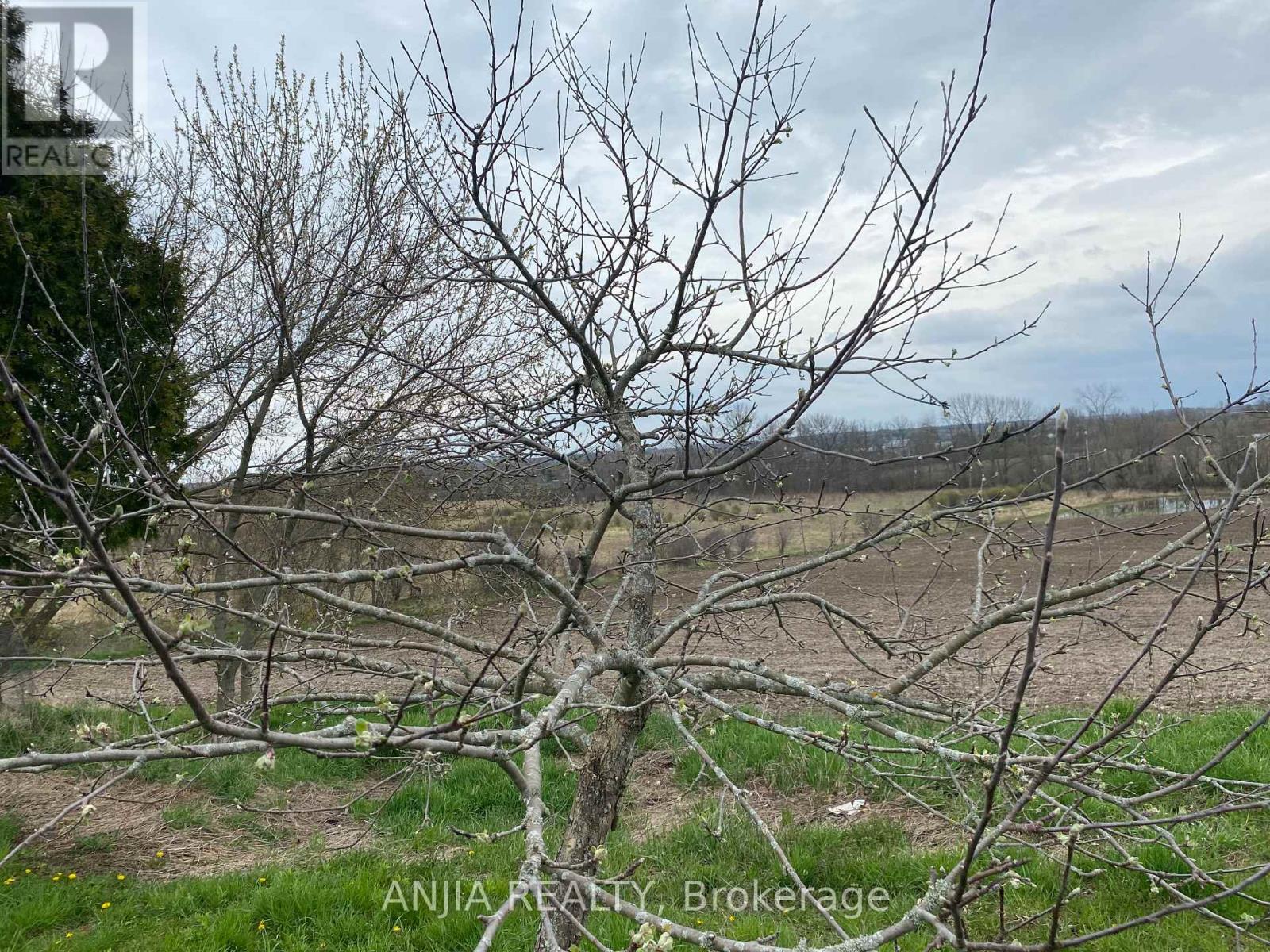 191 Long Beach Road, Kawartha Lakes, Ontario  K0M 1G0 - Photo 8 - X12956428