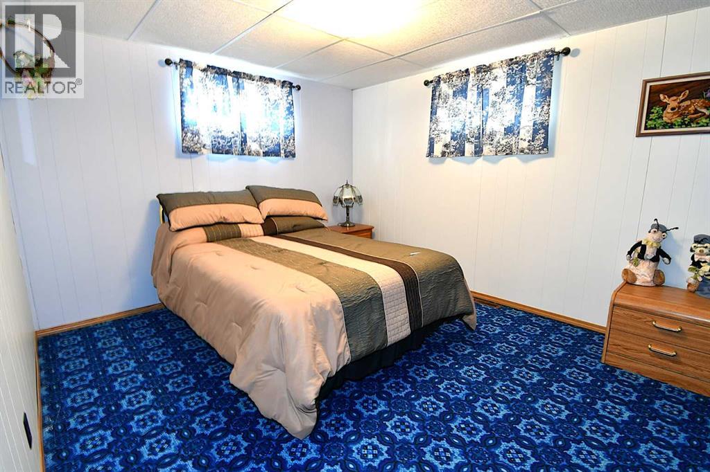 721 5 Avenue E, Bassano, Alberta  T0J 0B0 - Photo 22 - A2298955