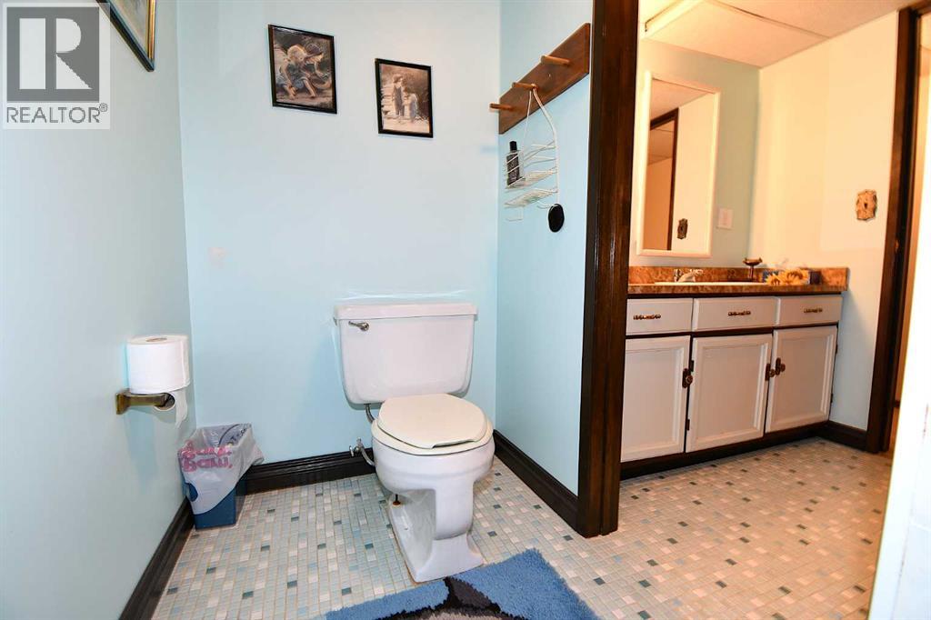 721 5 Avenue E, Bassano, Alberta  T0J 0B0 - Photo 29 - A2298955