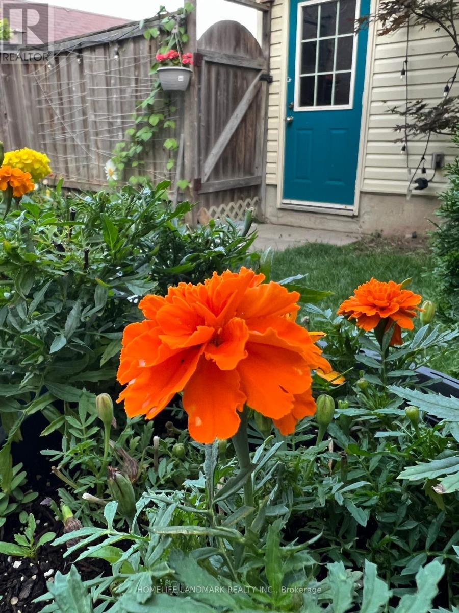 15004 Danby Road, Halton Hills, Ontario  L7G 0B3 - Photo 50 - W12951412