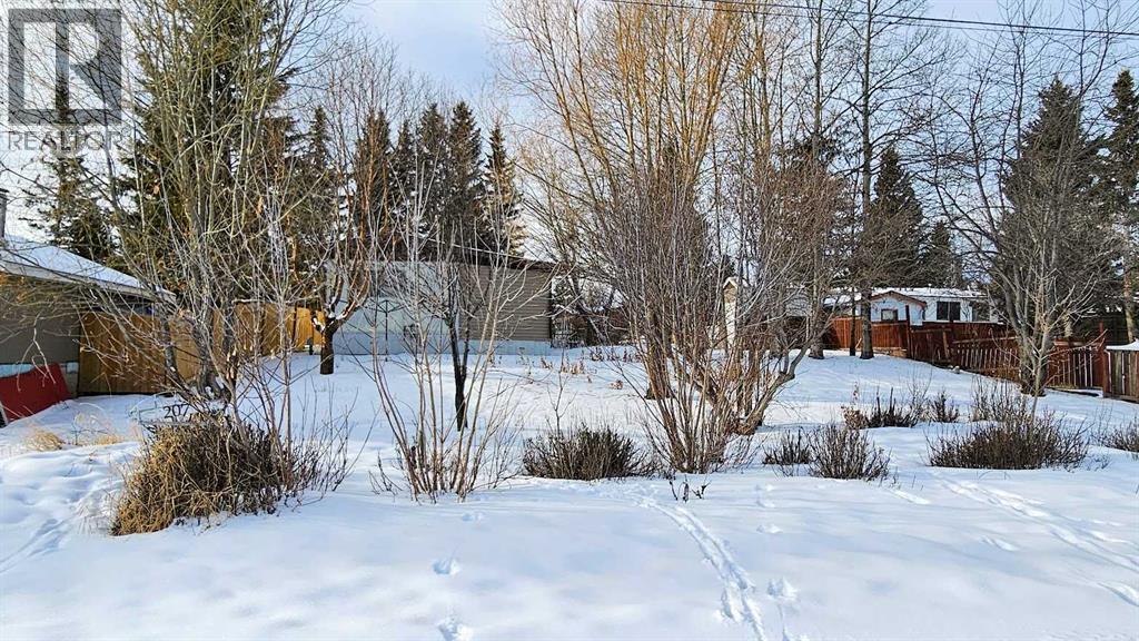 207 4 Street Nw, Sundre, Alberta  T0M 1X0 - Photo 13 - A2285141