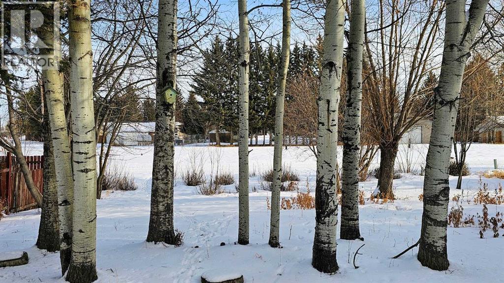 207 4 Street Nw, Sundre, Alberta  T0M 1X0 - Photo 10 - A2285141