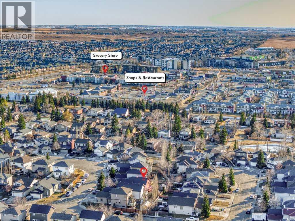 106 Springs Place SE, Airdrie, Alberta  T4A 2C9 - Photo 45 - A2285132