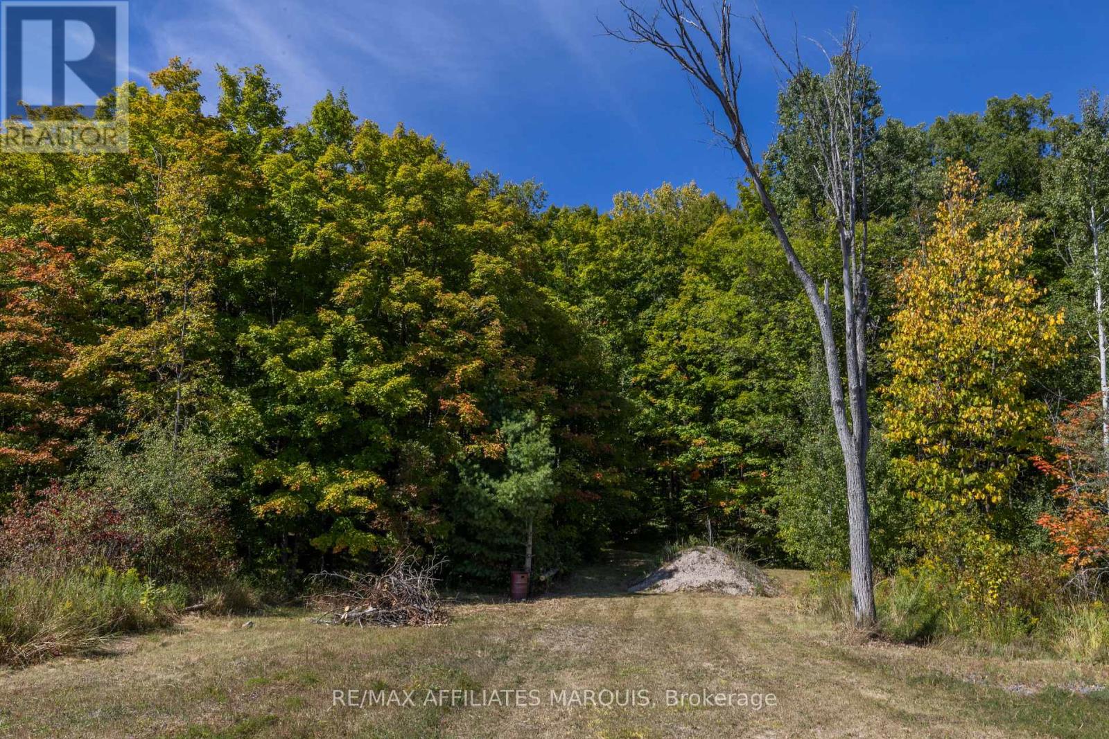 19112 Hwy 7 Highway, Tay Valley, Ontario  K7H 3C8 - Photo 5 - X12956528