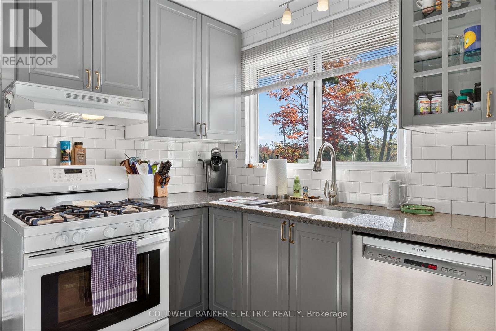 1352 County Rd 49 Road, Kawartha Lakes, Ontario  K0M 1A0 - Photo 12 - X12947458