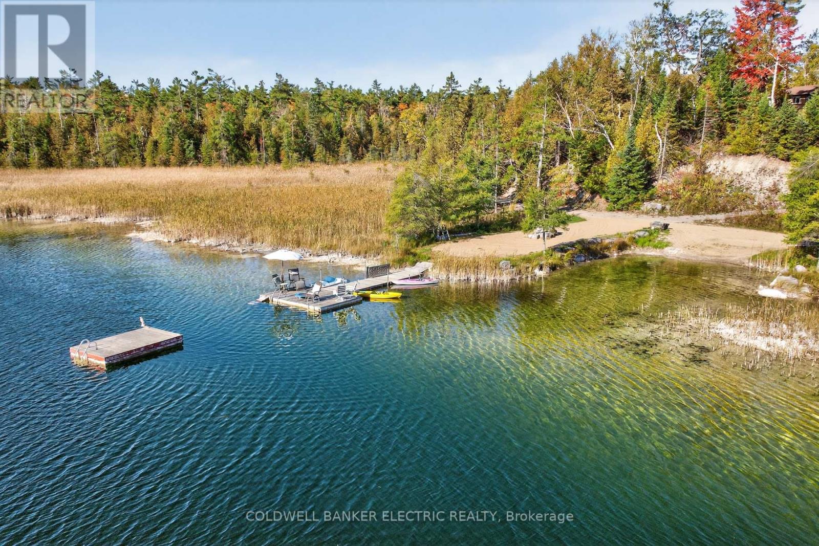 1352 County Rd 49 Road, Kawartha Lakes, Ontario  K0M 1A0 - Photo 45 - X12947458