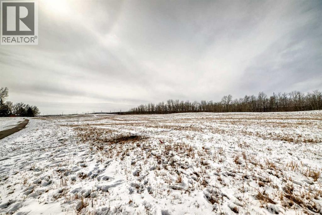 752 Cedarille Way SW, Calgary, Alberta  T2W 2G7 - Photo 47 - A2295915