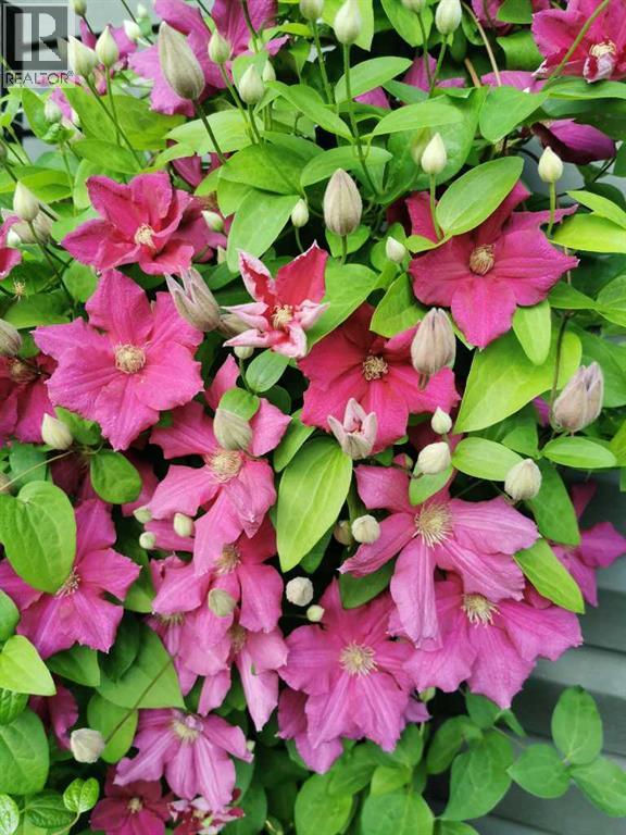 324 Ranchview Court Ne, Medicine Hat, Alberta  T1C 0G4 - Photo 43 - A2294282