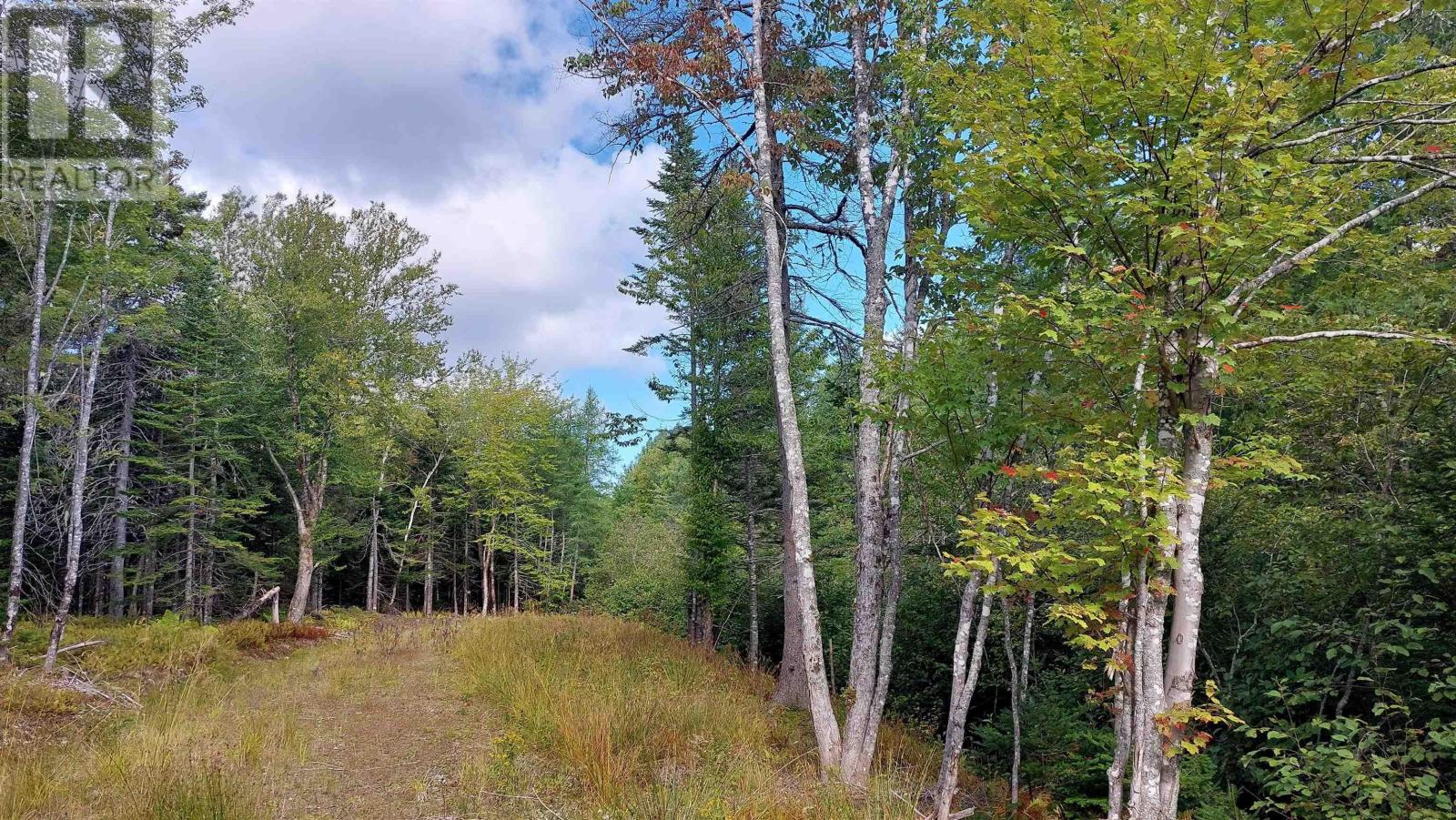 Lot 14 Golden Shore Dr, Marshes, Nova Scotia  B0E 1V0 - Photo 8 - 202606313