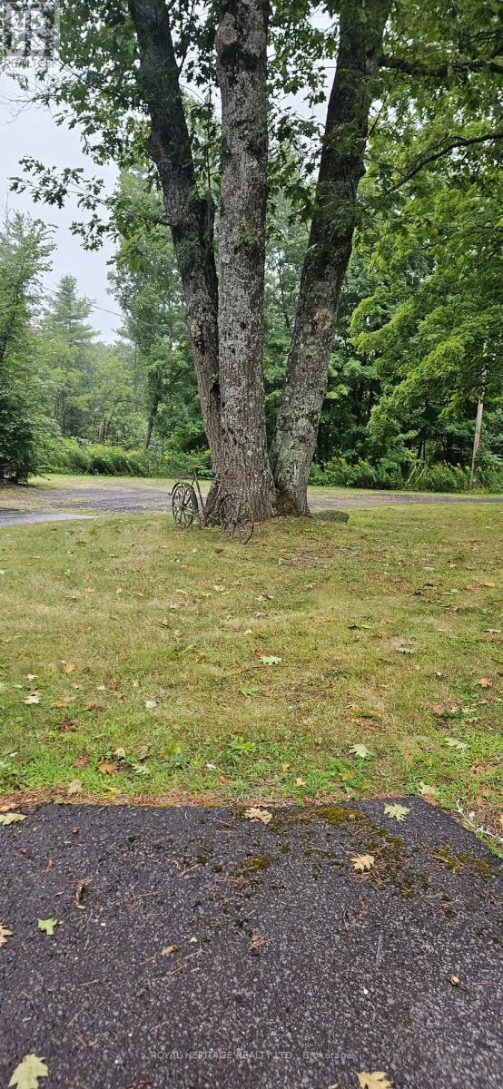 10175 Highway 41 Highway, Addington Highlands, Ontario  K0H 1Z0 - Photo 43 - X12461313