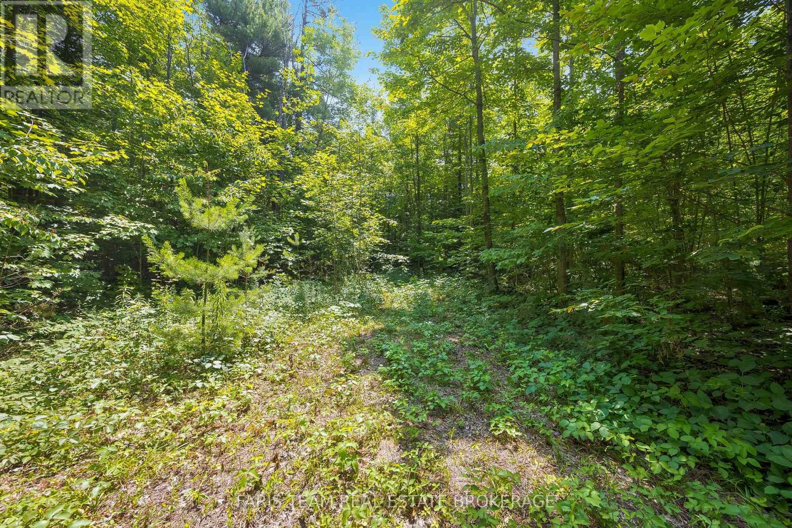 Pt Lt 40 Horseshoe Valley Road W, Oro-Medonte, Ontario  L4M 4Y8 - Photo 10 - S12956724
