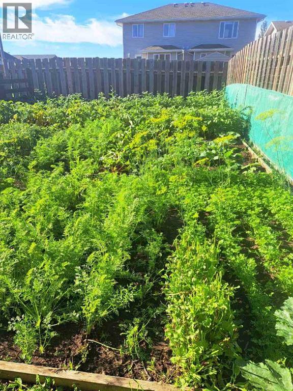 2837 12 Avenue, Wainwright, Alberta  T9W 0A9 - Photo 35 - A2299000