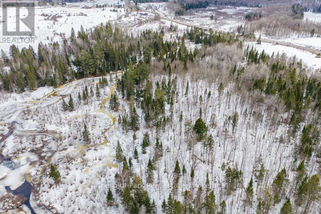 Lot 78 141 Highway, Seguin, Ontario P0C 1J0 - Photo 22 - X12902062