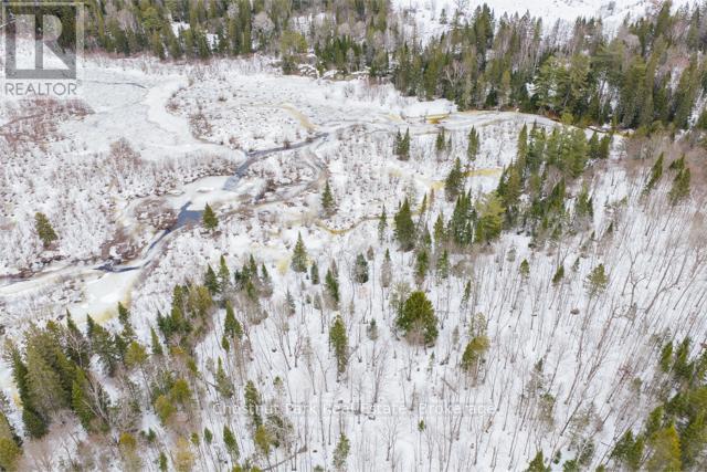 Lot 78 141 Highway, Seguin, Ontario P0C 1J0 - Photo 19 - X12902062