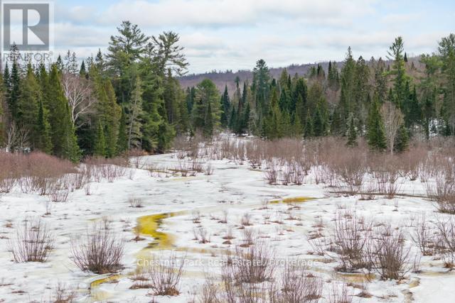 Lot 78 141 Highway, Seguin, Ontario P0C 1J0 - Photo 27 - X12902062