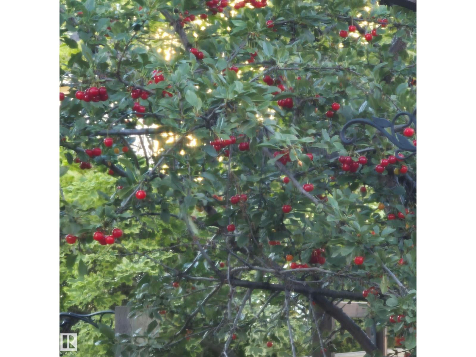 31 Everitt Dr, St. Albert, Alberta  T8N 3T4 - Photo 70 - E4480164