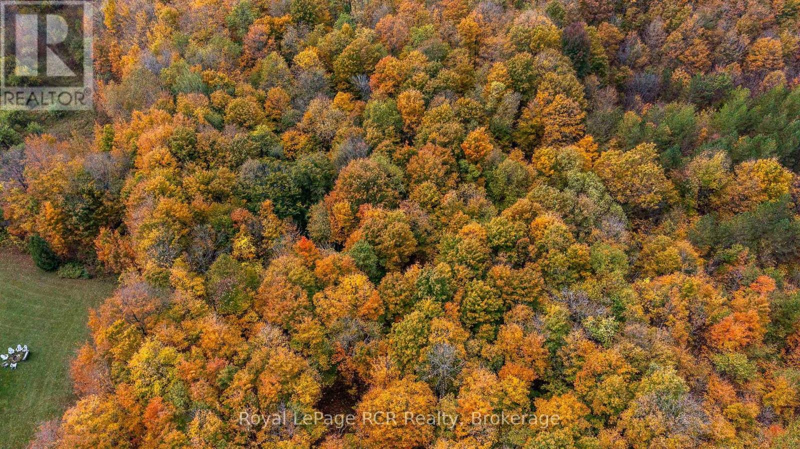 00 9th Line, Grey Highlands, Ontario N0C 1H0 - Photo 11 - X12956938