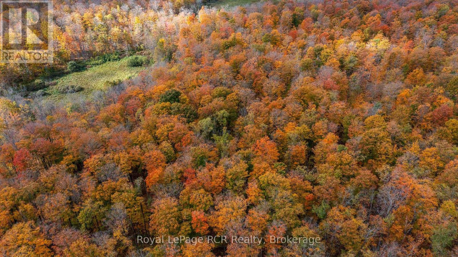 00 9th Line, Grey Highlands, Ontario N0C 1H0 - Photo 2 - X12956938