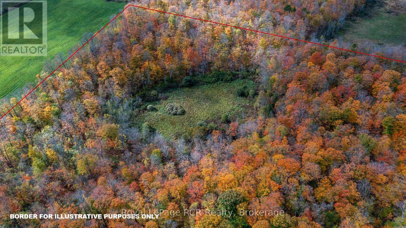 00 9th Line, Grey Highlands, Ontario N0C 1H0 - Photo 3 - X12956938