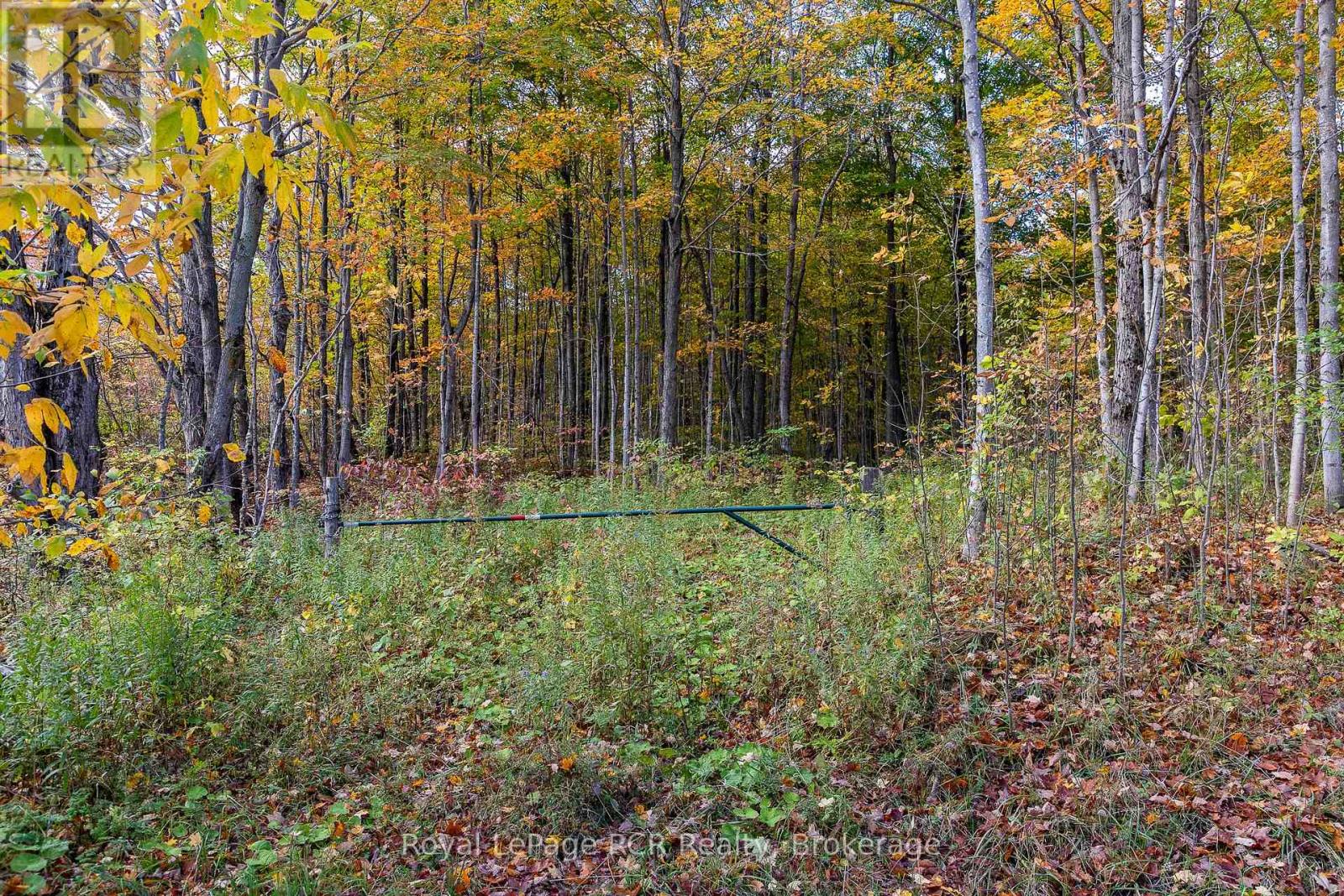 00 9th Line, Grey Highlands, Ontario N0C 1H0 - Photo 4 - X12956938