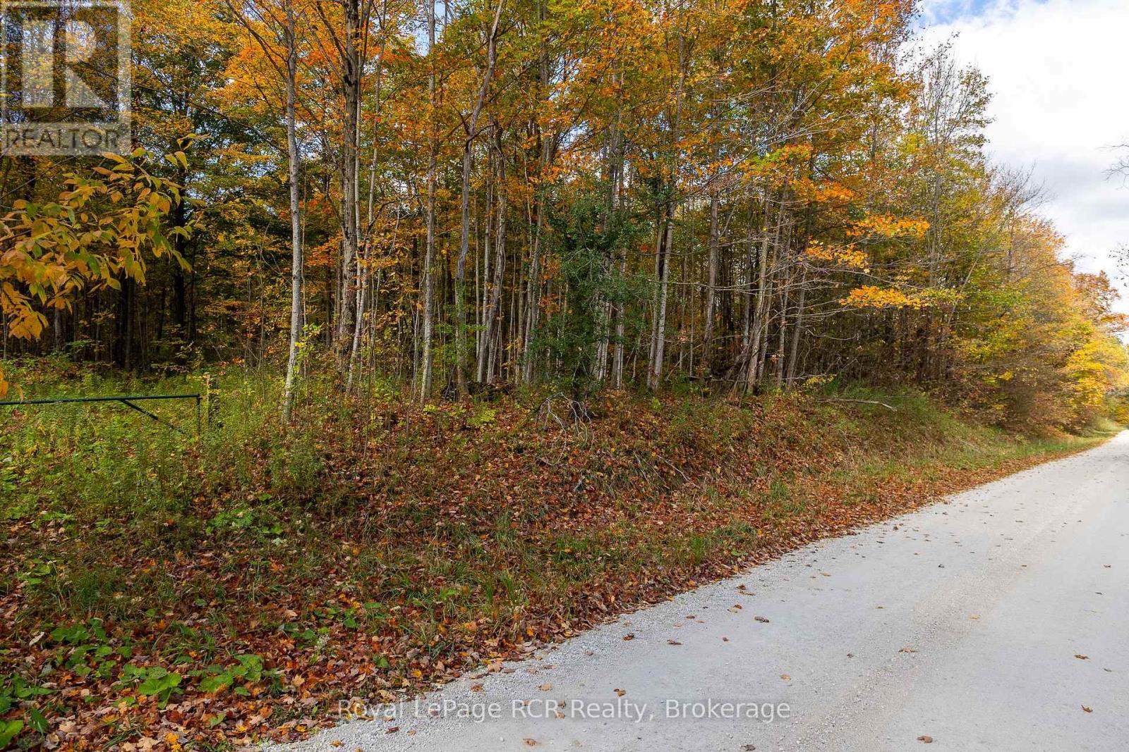 00 9th Line, Grey Highlands, Ontario N0C 1H0 - Photo 5 - X12956938