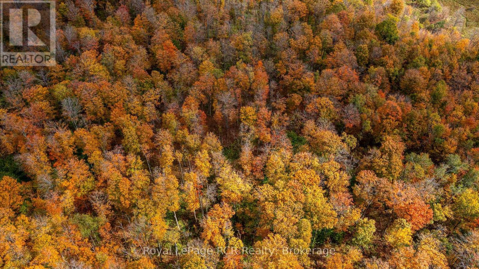 00 9th Line, Grey Highlands, Ontario N0C 1H0 - Photo 8 - X12956938