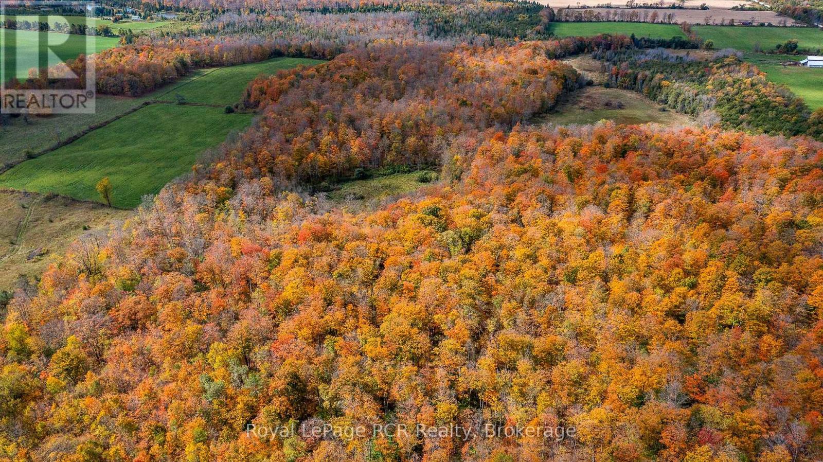 00 9th Line, Grey Highlands, Ontario N0C 1H0 - Photo 9 - X12956938