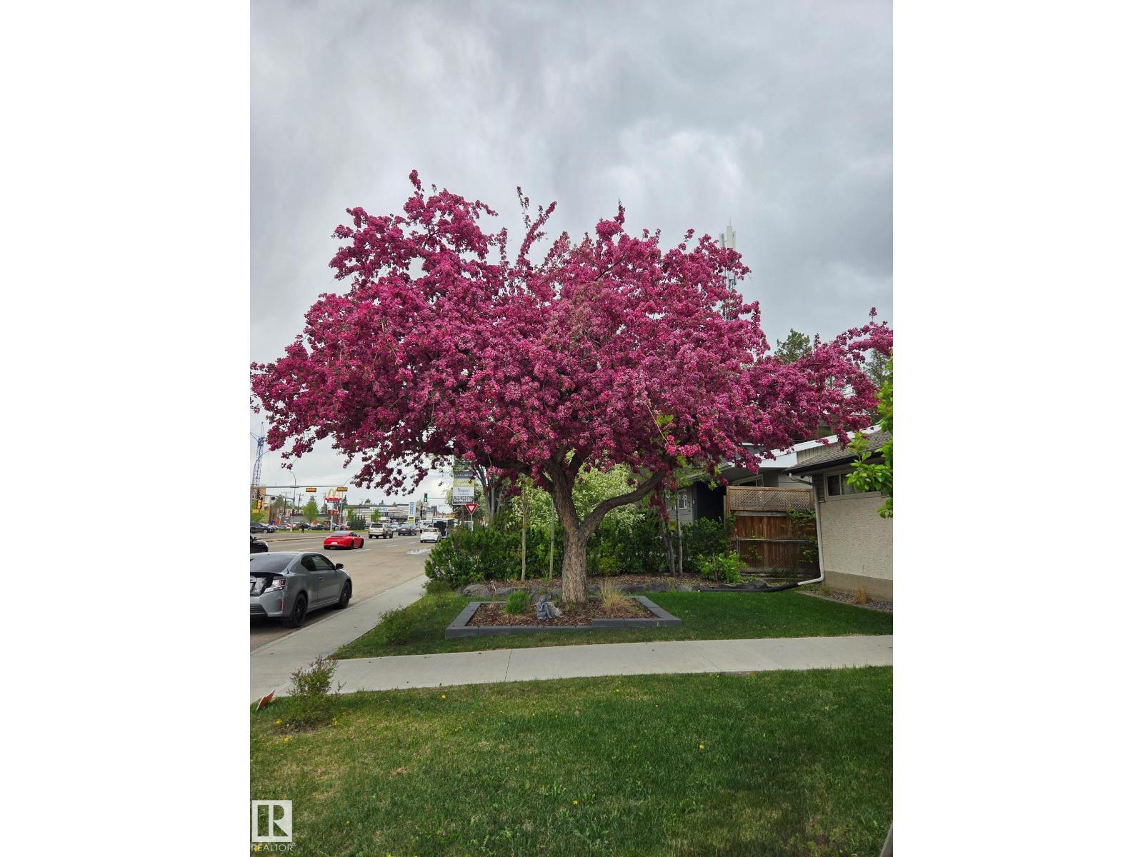 8603 149 St Nw, Edmonton, Alberta  T5R 1B3 - Photo 2 - E4480675