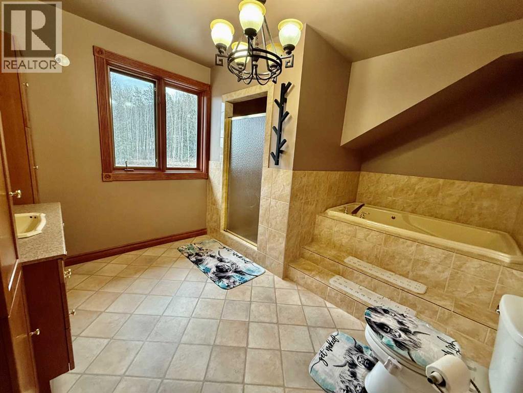 24403 East River Road, Hinton, Alberta  T7V 0A3 - Photo 20 - A2284799