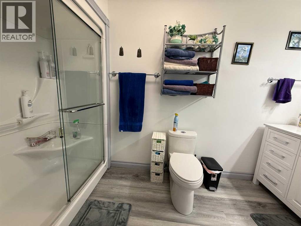 24403 East River Road, Hinton, Alberta  T7V 0A3 - Photo 31 - A2284799