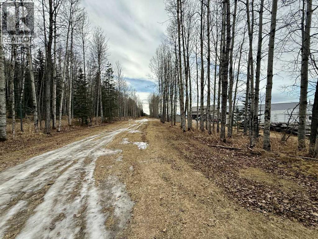 24403 East River Road, Hinton, Alberta  T7V 0A3 - Photo 41 - A2284799