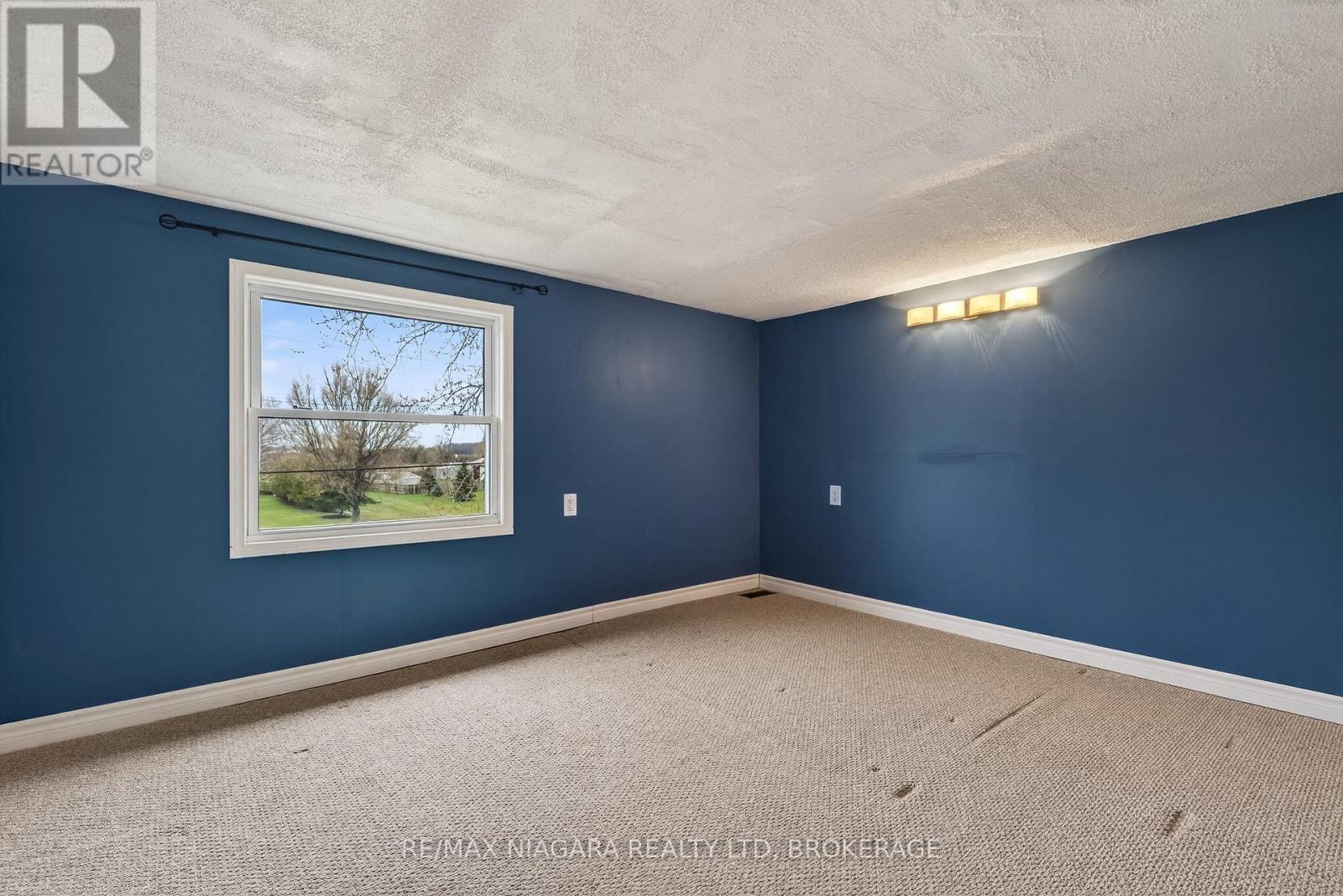 4284 Fly Road, Lincoln, Ontario  L0R 1G0 - Photo 20 - X12957084