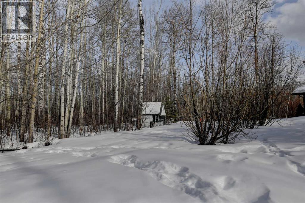 24541 Highway 676, Rural Greenview No. 16, Alberta  T0H 1B0 - Photo 38 - A2292498