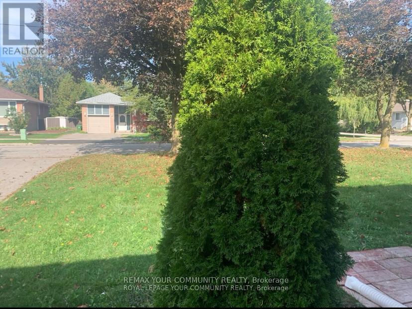 Main Floor - 151 Goulding Avenue, Toronto, Ontario  M2M 1L5 - Photo 14 - C12957156