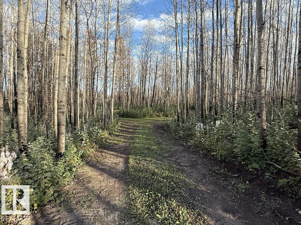 #2 Twp 630 Rr 26, Rural Westlock County, Alberta  T0G 0S0 - Photo 12 - E4480678