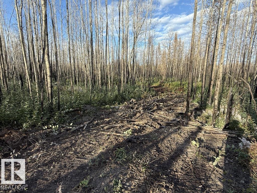 #2 Twp 630 Rr 26, Rural Westlock County, Alberta  T0G 0S0 - Photo 6 - E4480678