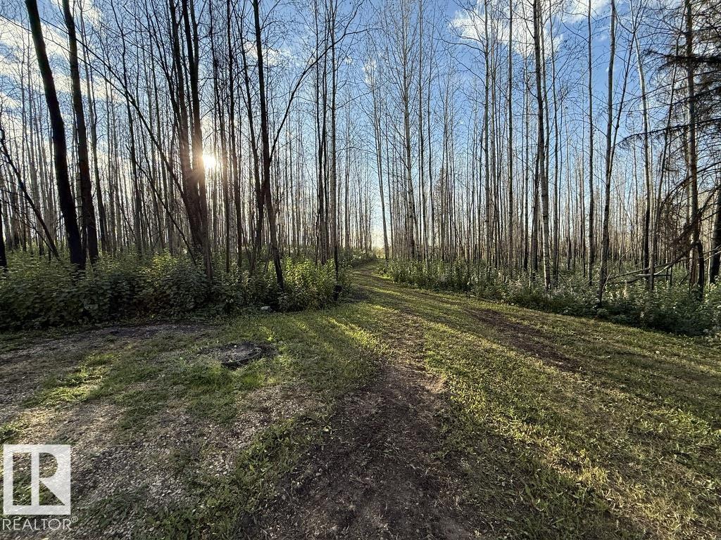 #2 Twp 630 Rr 26, Rural Westlock County, Alberta  T0G 0S0 - Photo 8 - E4480678