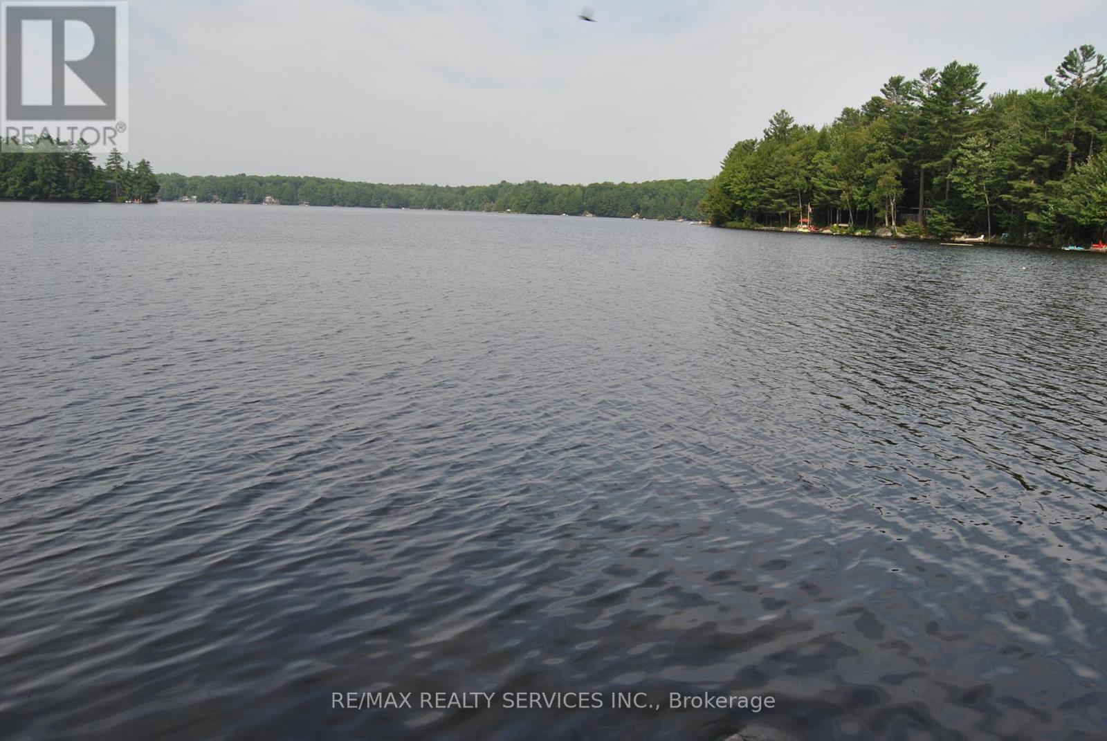 1102 Lakeshore Drive S, Bracebridge, Ontario  P1L 1X3 - Photo 40 - X12314539