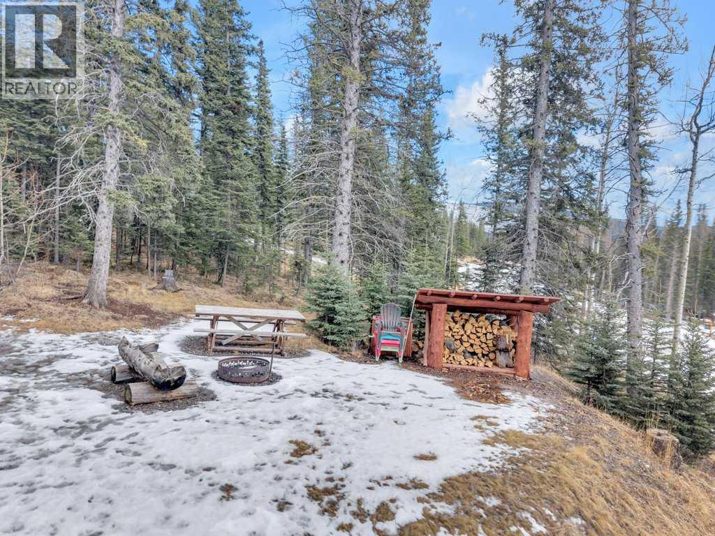 1204 Tamarack Trail, Nordegg, Alberta  T0M 2H0 - Photo 35 - A2295288