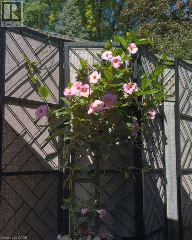 296 Weber Street E, Kitchener, Ontario  N2H 1G2 - Photo 40 - 40817554