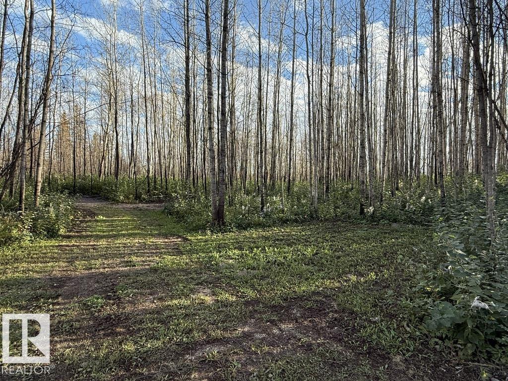 #1 Twp 630 Rr 26, Rural Westlock County, Alberta  T0G 0S0 - Photo 11 - E4480680