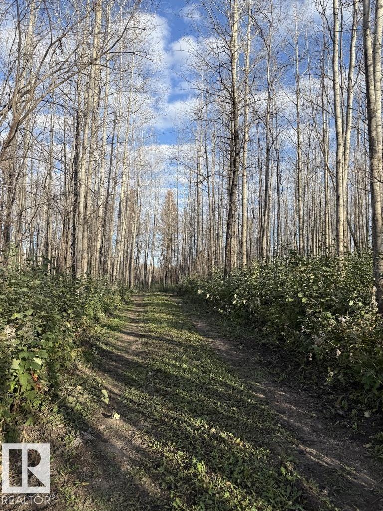#1 Twp 630 Rr 26, Rural Westlock County, Alberta  T0G 0S0 - Photo 13 - E4480680