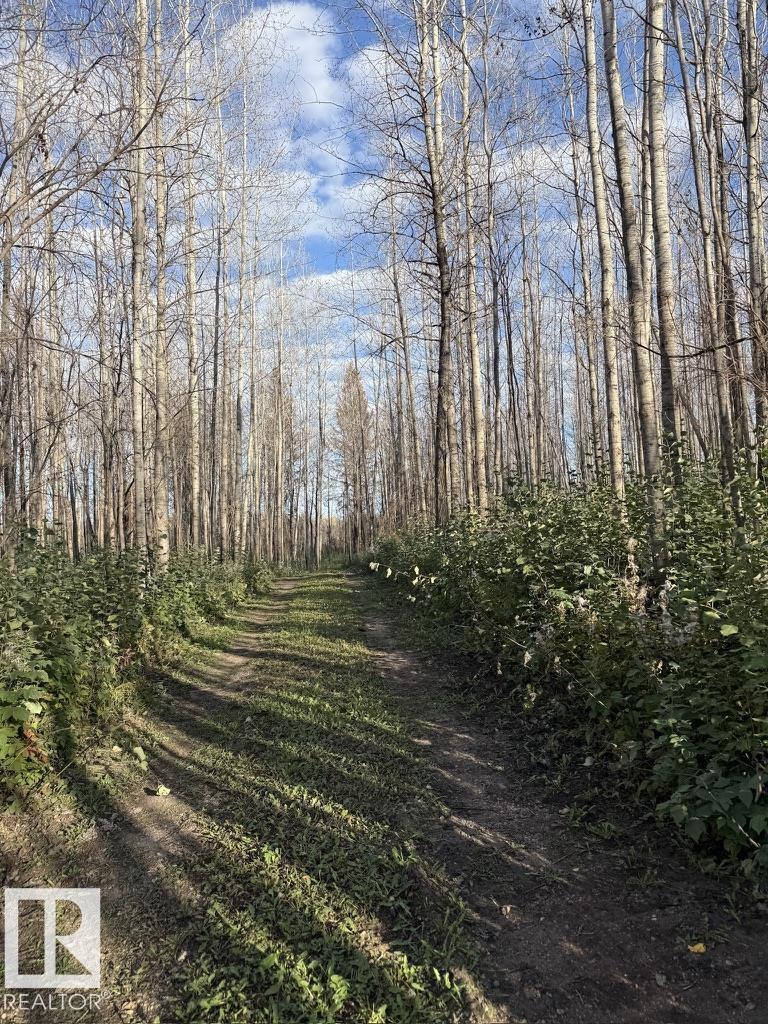 #1 Twp 630 Rr 26, Rural Westlock County, Alberta  T0G 0S0 - Photo 16 - E4480680