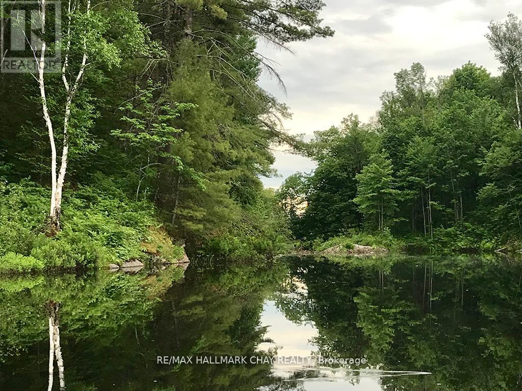 1133 Fire Route A1 Street, Gravenhurst, Ontario  P1P 1R3 - Photo 17 - X12340931