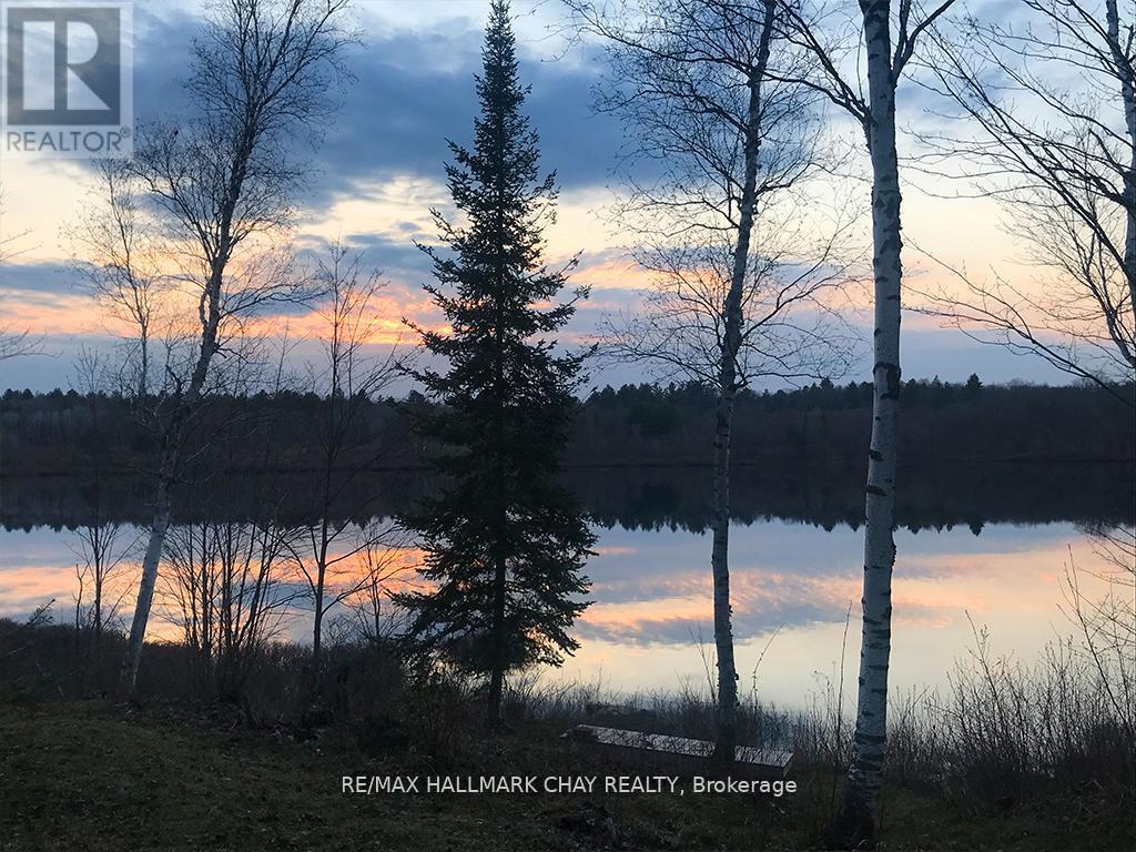 1133 Fire Route A1 Street, Gravenhurst, Ontario  P1P 1R3 - Photo 24 - X12340931