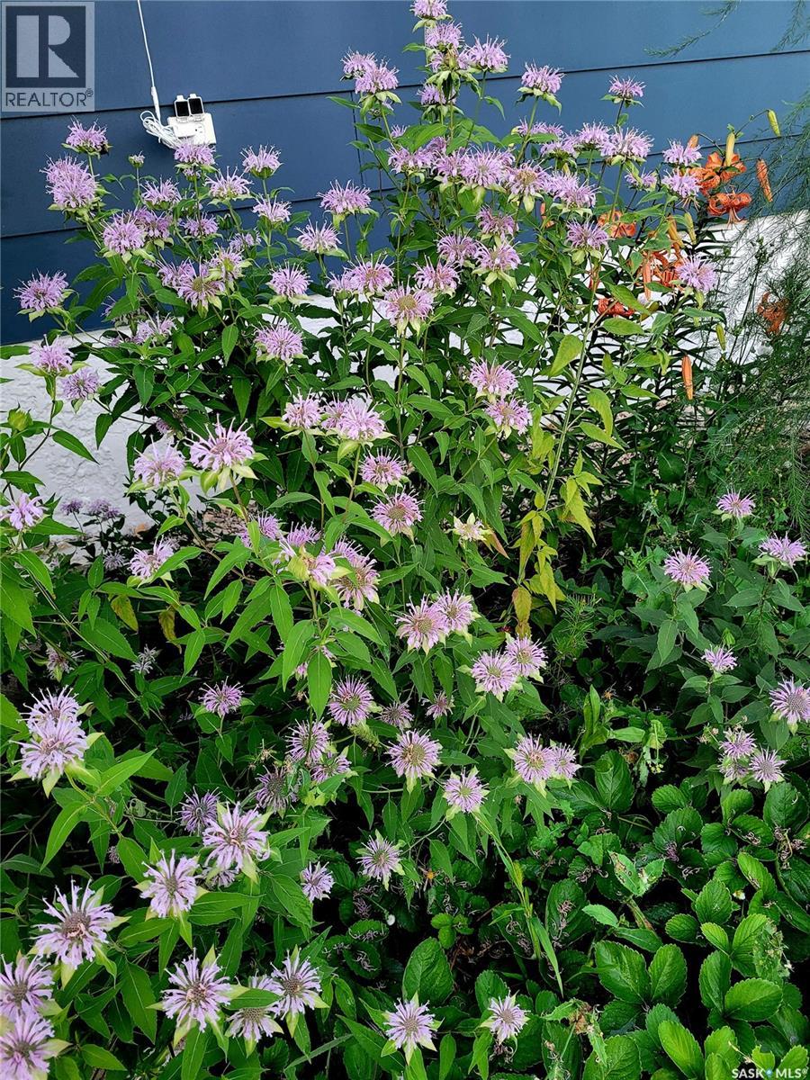 804 Pitt Street, Indian Head, Saskatchewan  S0G 2K0 - Photo 41 - SK032046