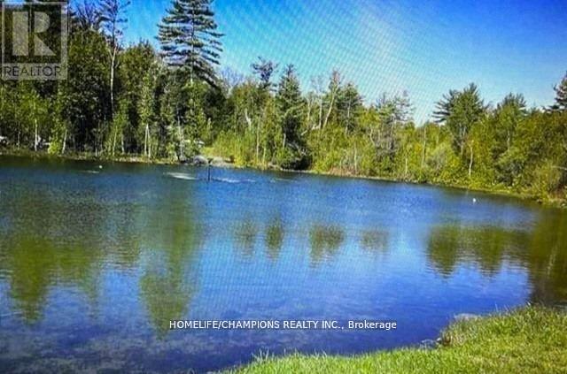 Lot 88 - 248 Pinnacle Hill Road, Alnwick/haldimand, Ontario  K0K 1M0 - Photo 5 - X12957288