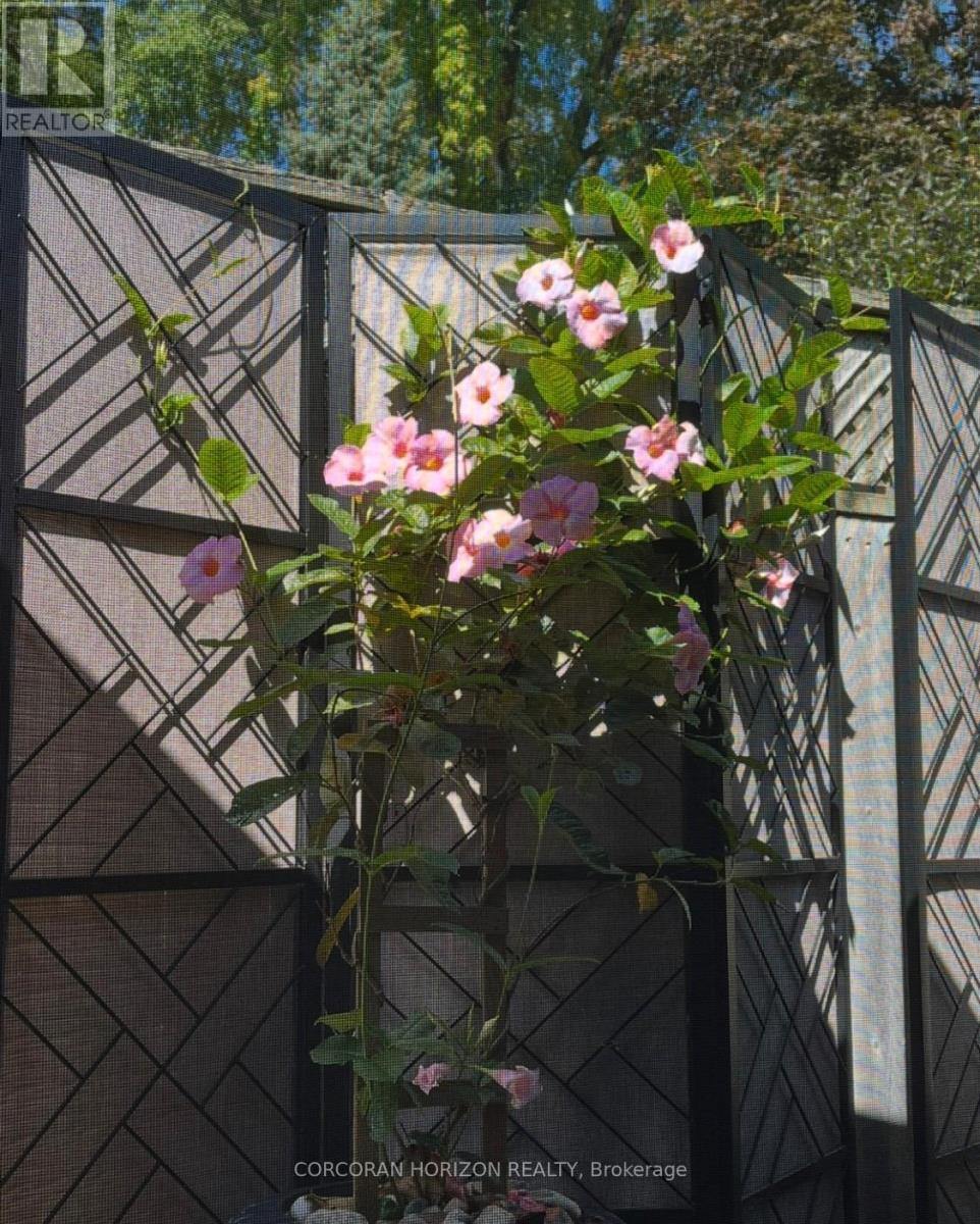 296 Weber Street E, Kitchener, Ontario  N2H 1G2 - Photo 39 - X12956290