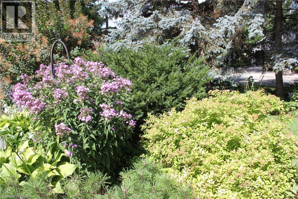 3012 First Street, Burlington, Ontario  L7N 1C3 - Photo 38 - 40721018