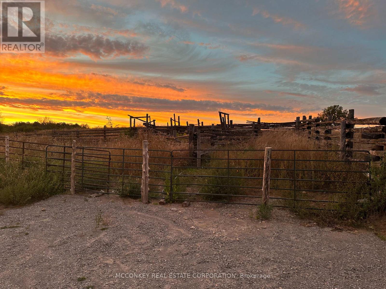 252 Concession Road 13 E, Trent Hills, Ontario  K0L 1Y0 - Photo 11 - X12839268